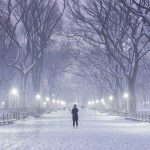 back-winter
