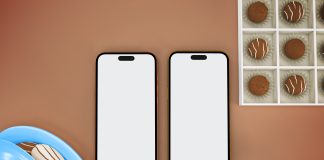 Vivo X100 Ultra vs iPhone 16 Pro Max: A Detailed Comparison Vivo X100 Ultra vs iPhone 16 Pro Max