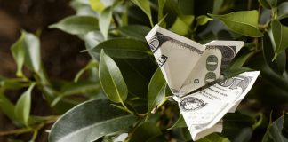 How to Make Passive Income: A Complete Guide how to make passive income